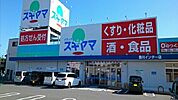 【ドラッグストア】ドラッグスギヤマ豊川インター店まで540ｍ