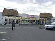 【スーパー】とりせん小鳥店まで566ｍ