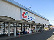 【ドラッグストア】カワチ薬品鹿沼南店まで700ｍ