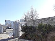 【大学】白鴎大学大行寺キャンパスまで1400ｍ
