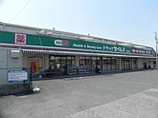 【ドラッグストア】セイムス柏花野井店まで550ｍ