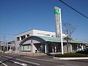 【銀行】栃木銀行御幸ケ原支店まで607ｍ