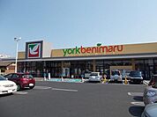 【スーパー】ヨークベニマル様まで360ｍ