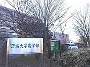 【大学】茨城大学農学部まで350ｍ