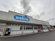 【ドラッグストア】ウエルシア土浦高津店まで2100ｍ