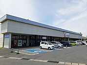 【ドラッグストア】カワチ薬品　浜田店まで800ｍ