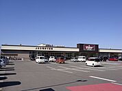 【スーパー】バロー守山小島店まで60ｍ