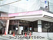 【スーパー】コープうねの店まで560ｍ