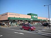 【スーパー】フレッセイフォリオ富岡店まで873ｍ
