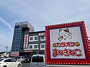 まねきねこまで500ｍ
