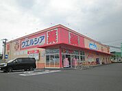 【ドラッグストア】ウインダーランド天王店まで951ｍ