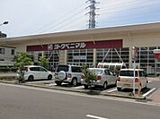【スーパー】ヨークベニマル　簗瀬店まで800ｍ