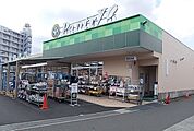 【スーパー】小田原百貨店板橋店まで750ｍ