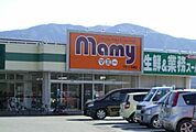 【スーパー】マミー二枚橋店まで1400ｍ