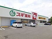 【ドラッグストア】スギドラッグ前橋関根店まで800ｍ