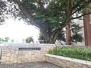 【中学校】下野市立国分寺中学校まで300ｍ