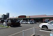 【スーパー】SENDO 茂原店まで1000ｍ