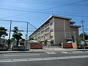 【小学校】宇都宮市立豊郷南小学校まで793ｍ