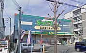 【ドラッグストア】ダックス下津林店まで828ｍ