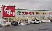 【ドラッグストア】スギドラック沼津西沢田店まで550ｍ