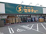 【ホームセンター】セキチュー安中店まで650ｍ