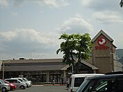 【スーパー】スーパーマツモト荒塚店まで1156ｍ