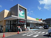 【スーパー】ヨークマート秦野緑町店まで341ｍ