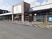 【スーパー】サニー加布里店まで1250ｍ