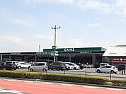 【ホームセンター】カインズ　小牧店まで600ｍ