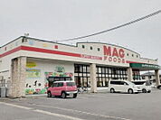 【スーパー】マグフーズ 中島店まで700ｍ