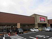 【スーパー】スーパーマーケットバロー岡崎店まで600ｍ