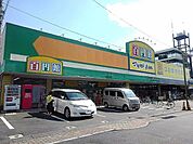 ダイソー蒲生旭町店まで1300ｍ