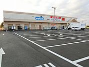 【ドラッグストア】ウエルシア　道悦店まで250ｍ
