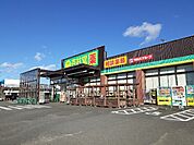 【ドラッグストア】杏林堂薬局　菊川店まで1100ｍ