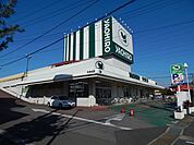 【スーパー】ヤオヒロ愛宕店まで571ｍ