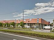 【スーパー】フードマーケットMom肉市場テクノ店まで1268ｍ