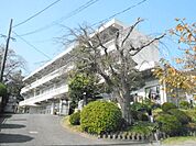 【小学校】浜松市立金指小学校まで379ｍ