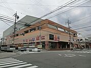 【ショッピングセンター】Ｂｉｖｉ藤枝店まで550ｍ