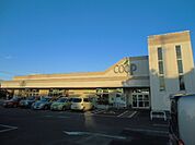 【スーパー】ユーコープ緑ヶ丘店まで1311ｍ
