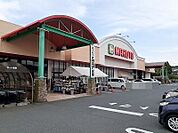 【スーパー】マルトSC滑川店まで400ｍ