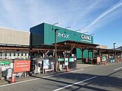 【ホームセンター】カインズ安中店まで850ｍ
