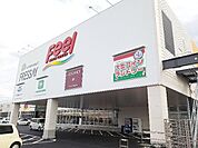 【ショッピングセンター】フィール藤岡まで1900ｍ