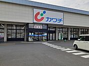 【ドラッグストア】カワチ薬品　川尻店まで1600ｍ