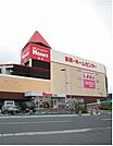 【ホームセンター】島忠ホームズ・オーケーまで400ｍ