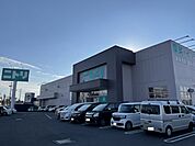 【ホームセンター】ニトリ　牛久店まで650ｍ