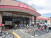 【スーパー】カスミFOOD　川口末広店まで884ｍ