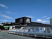【ホームセンター】ジョイフル本田まで1900ｍ