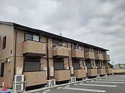 クワトロ　ヤナギノ　C 205