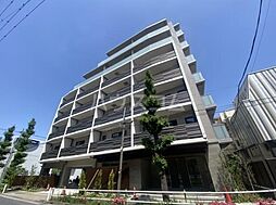 レスピール蓮根