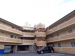 アイビス小絹Ｂ